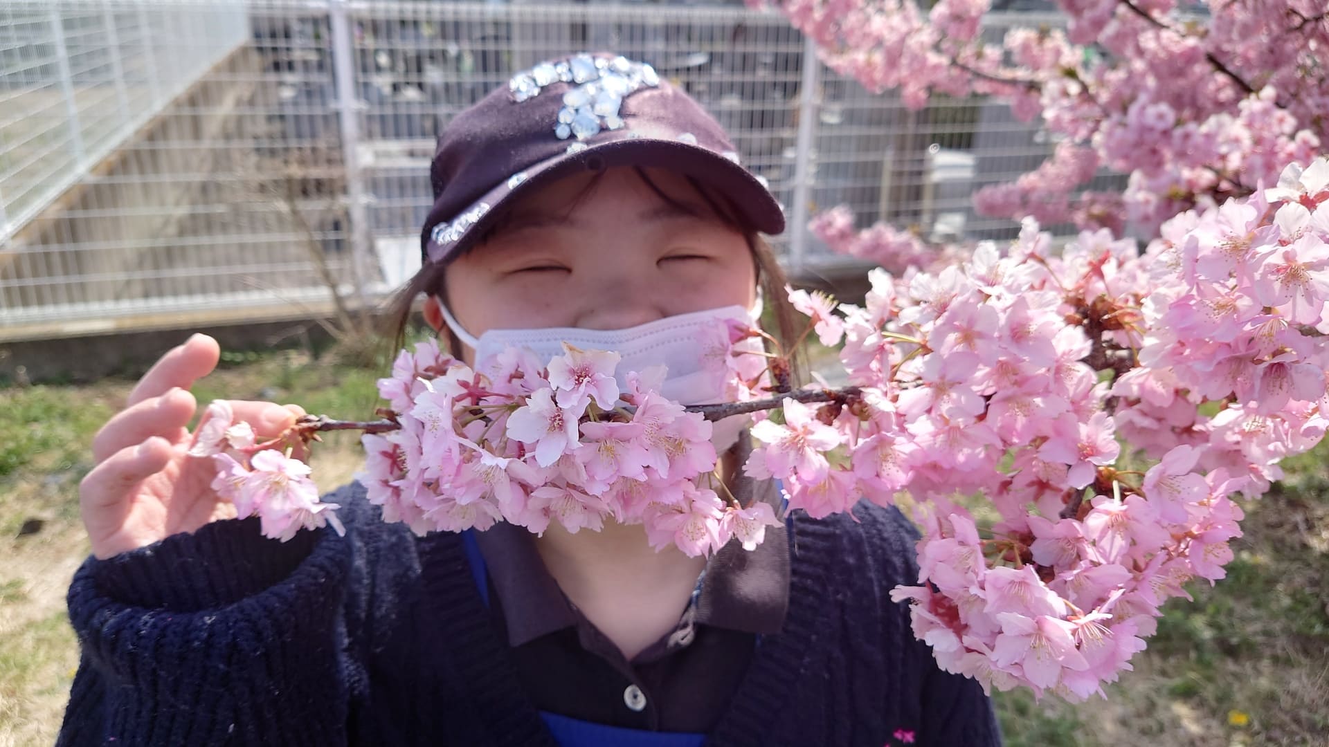 毎年桜の季節になると、地域の桜を探しに散歩に出かけています。綺麗な桜を見るとみんな気持ちが良いです。