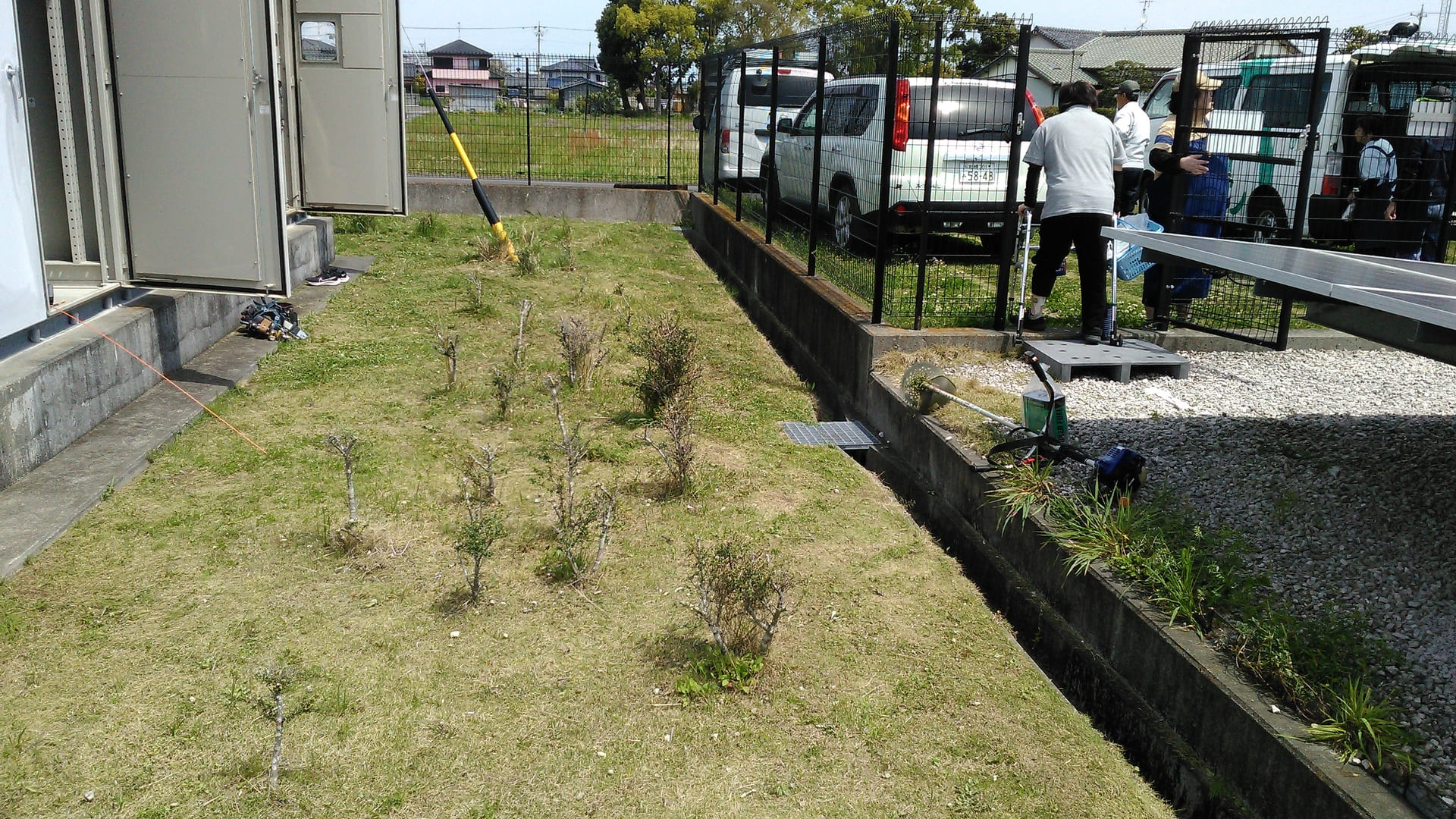 4月村上開明堂草取り作業