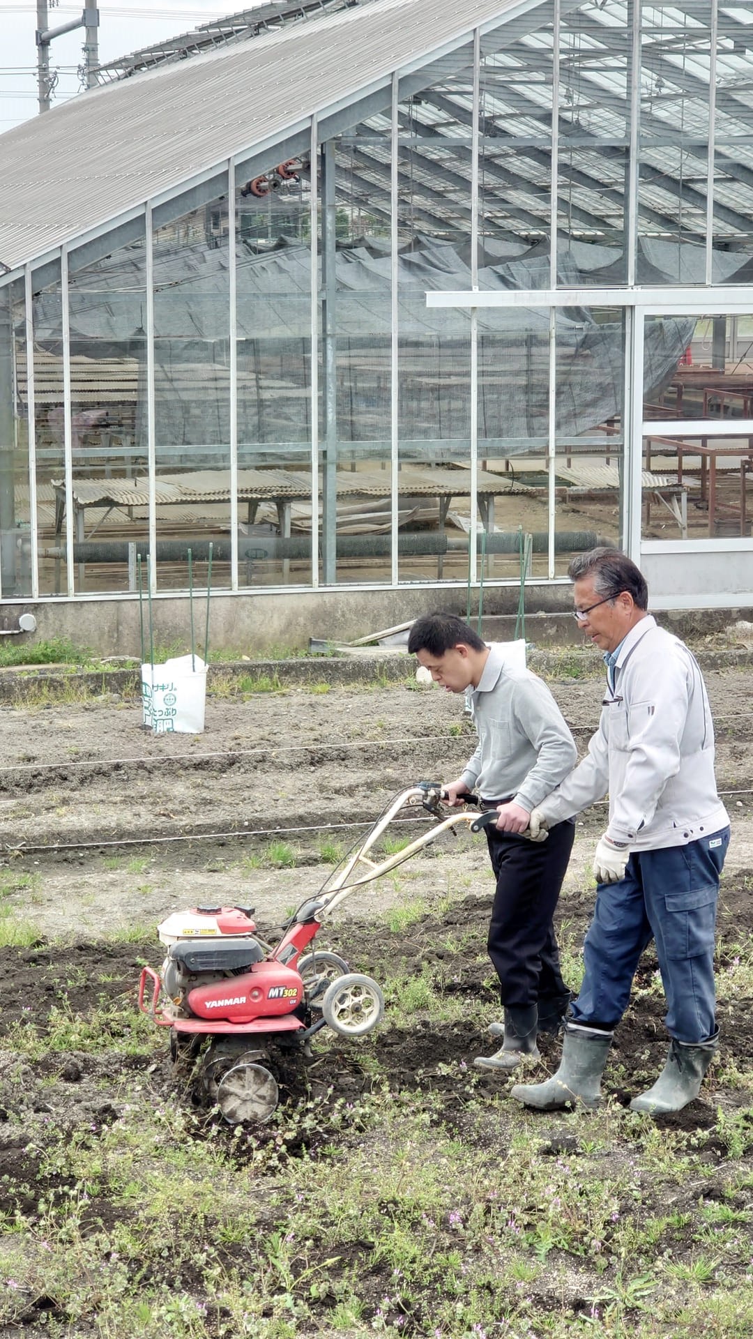 4月農園作業