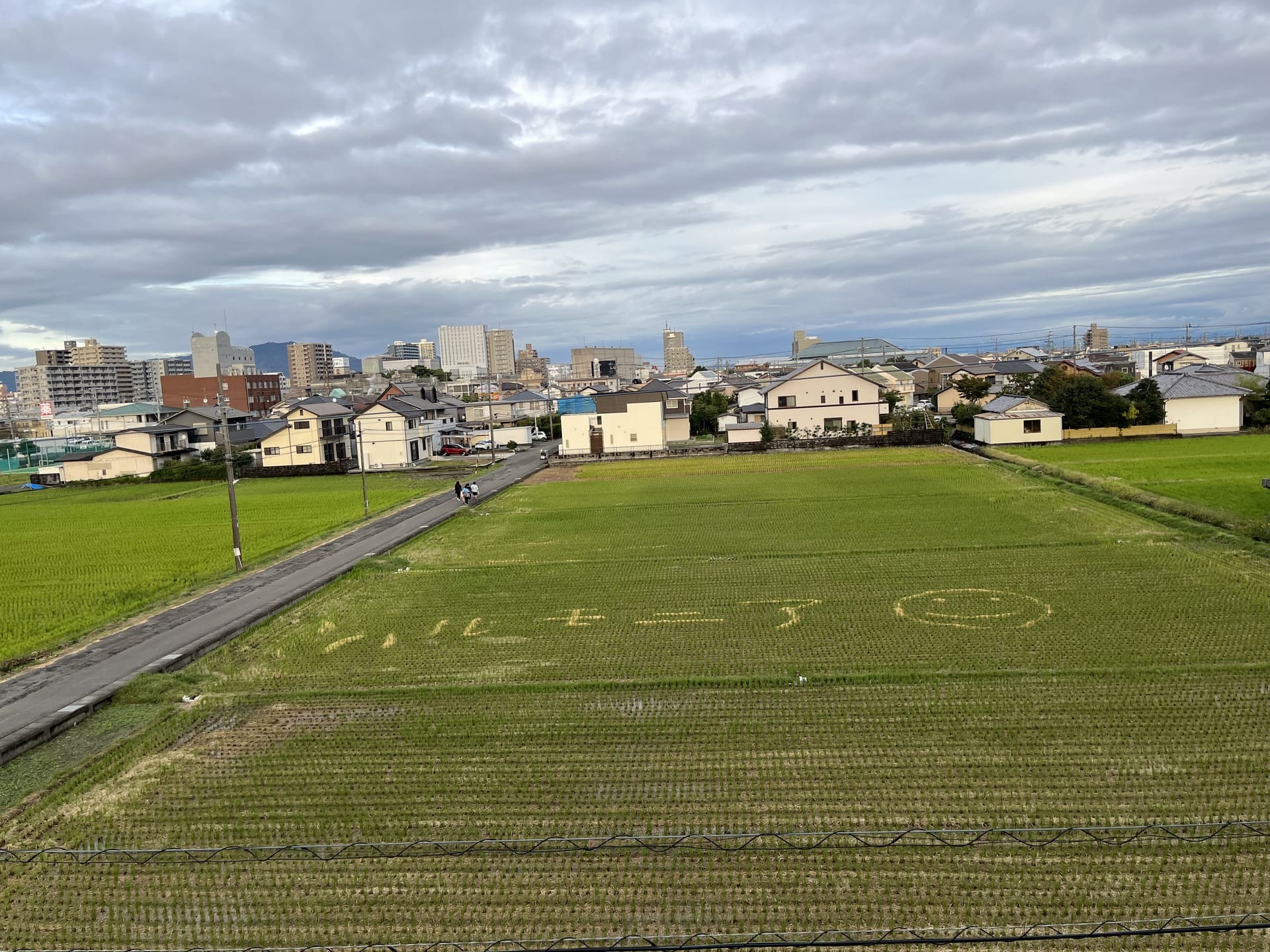 ハルモニア　写真2