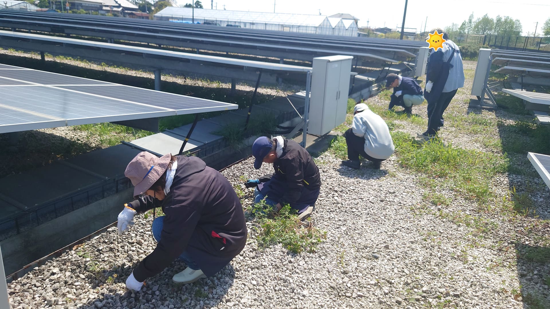 ソーラーパネル施設作業　草取り