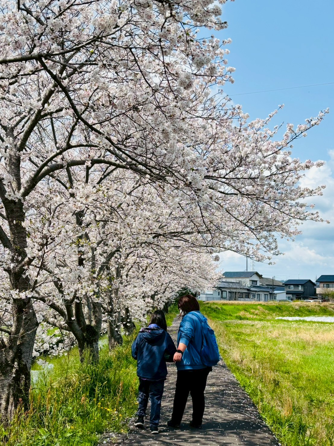LINE_ALBUM_20250409 _2_250409_3
