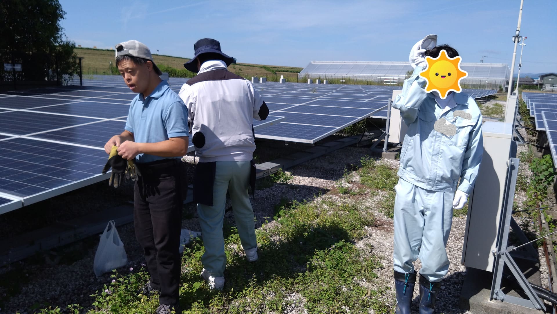 ソーラーパネル施設作業　草取り
