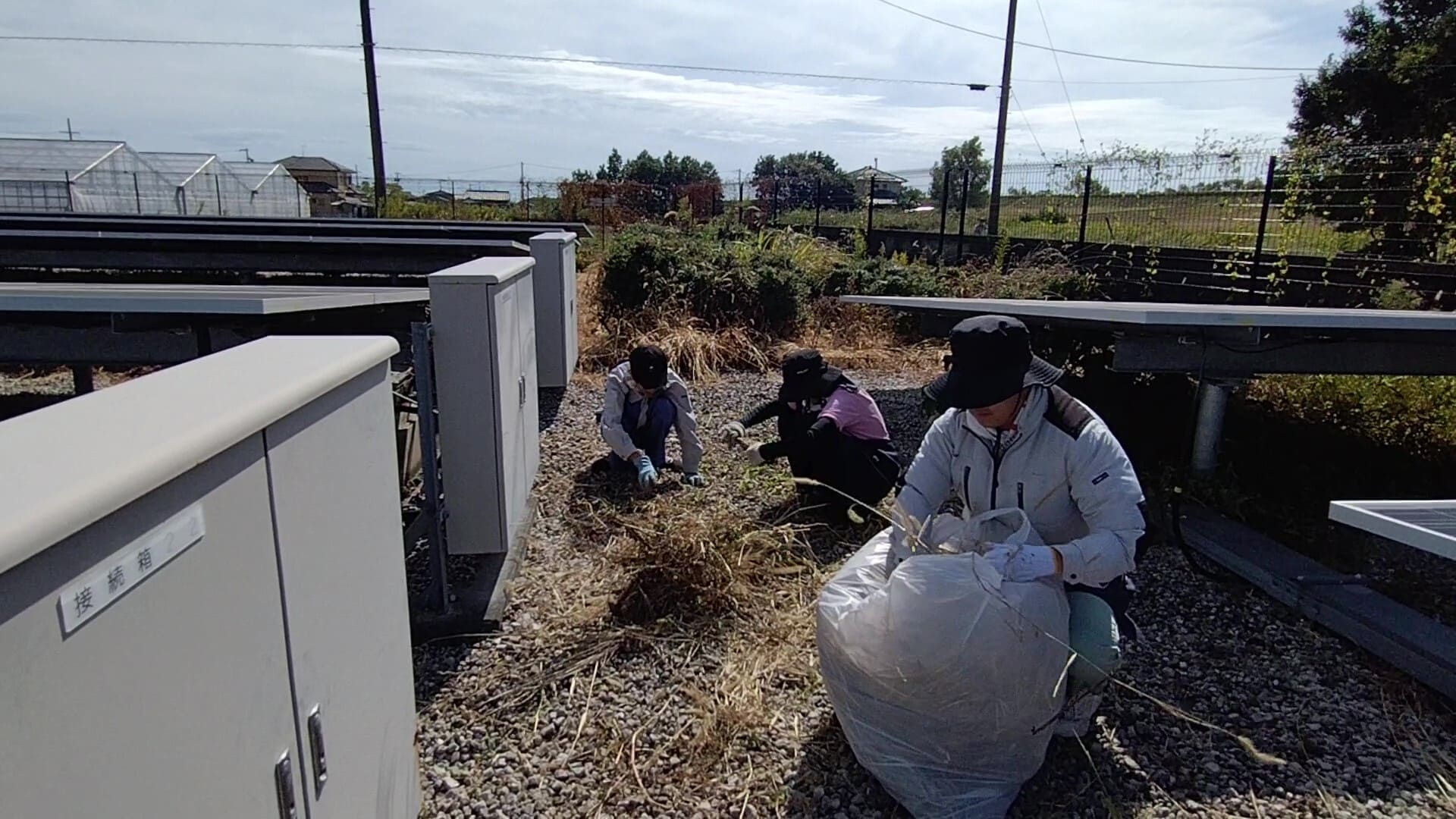 ソーラーパネル施設作業　草取り