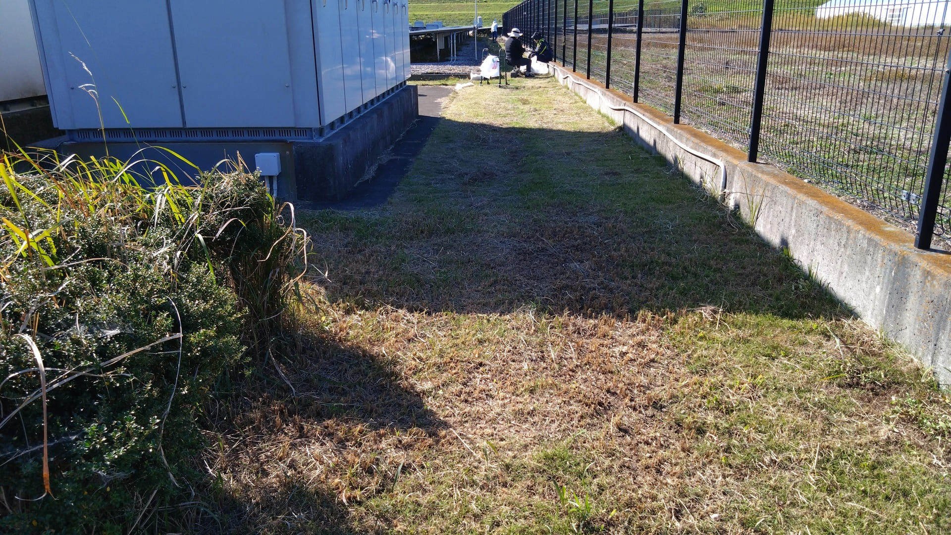 ソーラーパネル施設作業 草回収