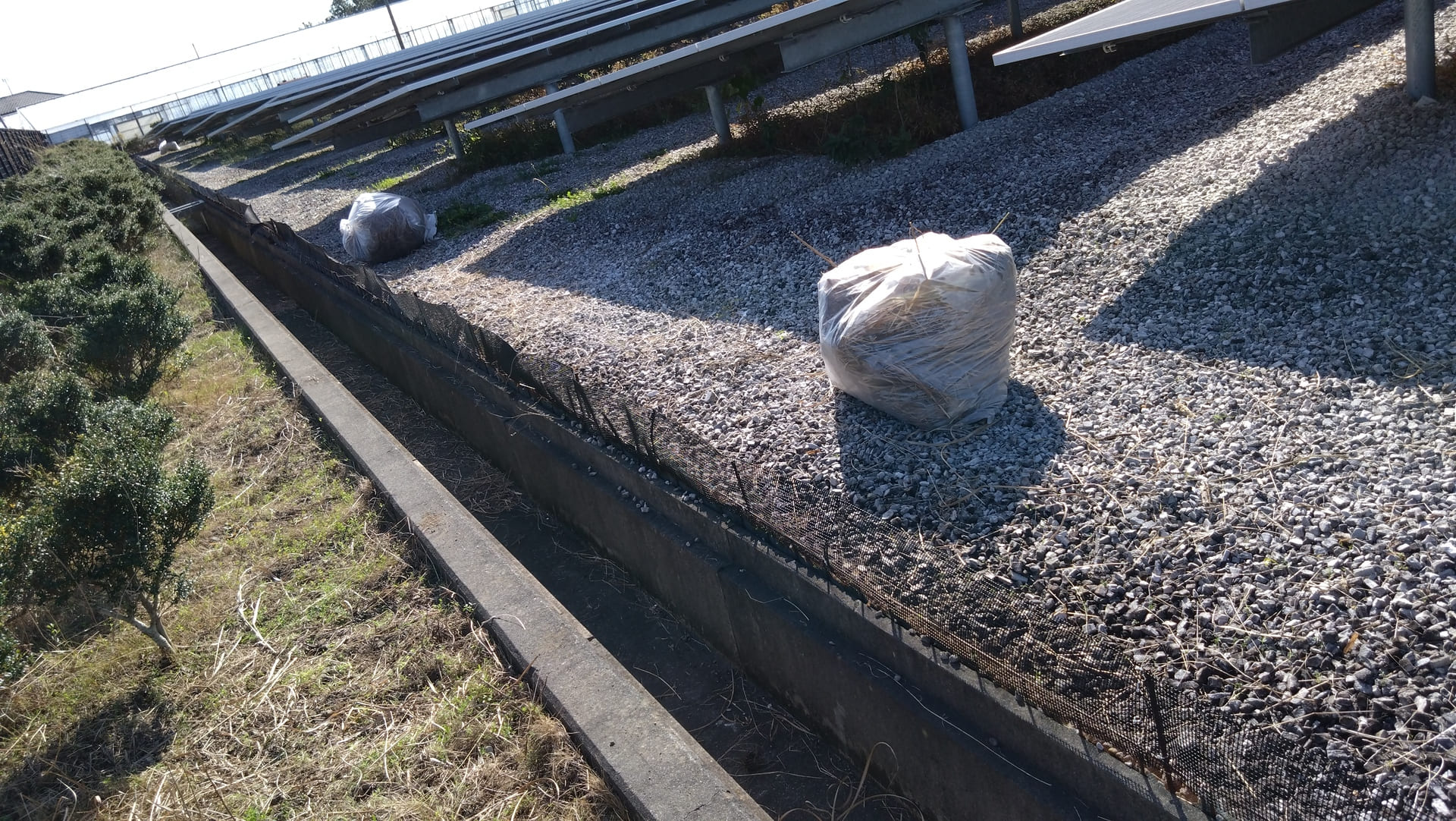 ソーラーパネル施設作業　草回収