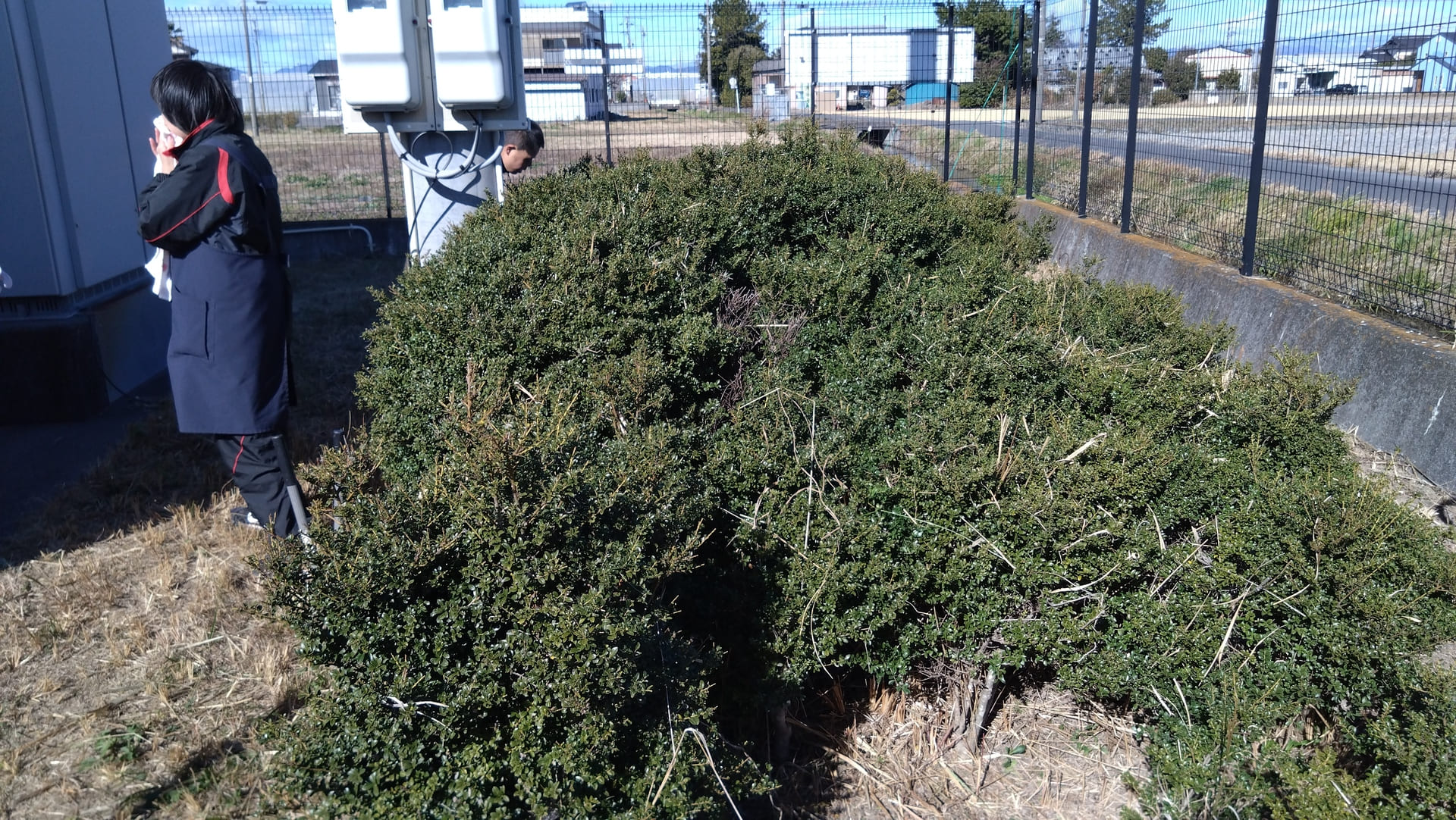 ソーラーパネル施設場作業　草取り