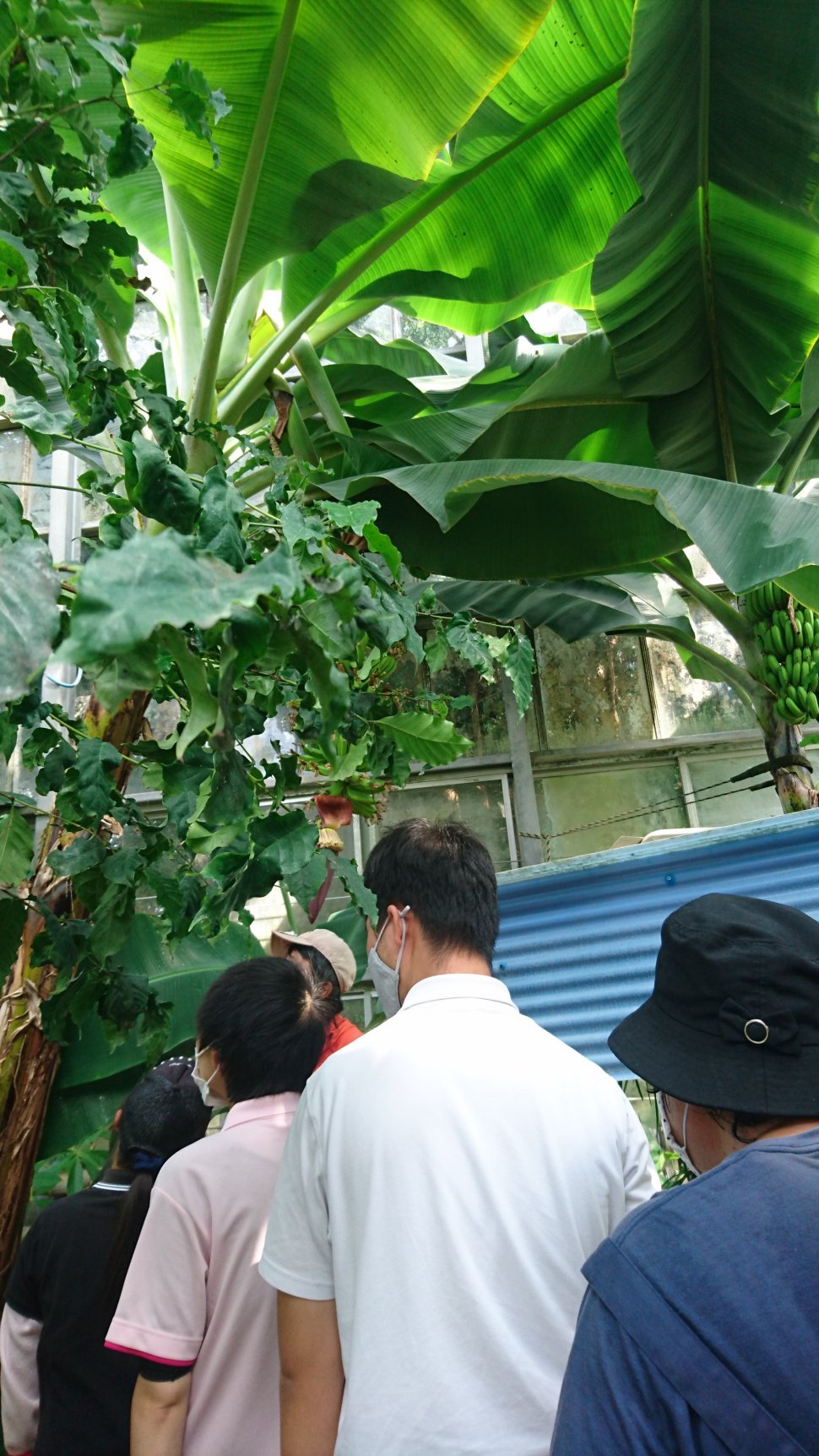 ありす202010県大２_1